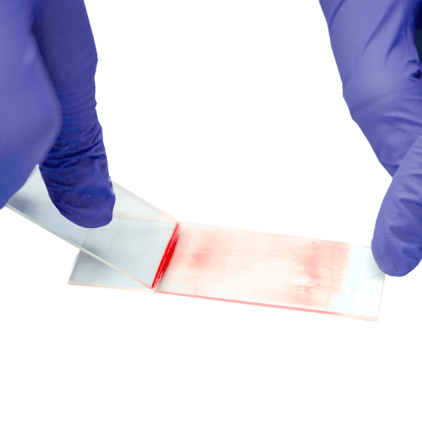 Microscope Slide Medpip